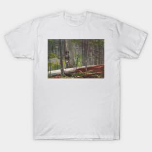 Hunter in the Adirondacks by Winslow Homer T-Shirt